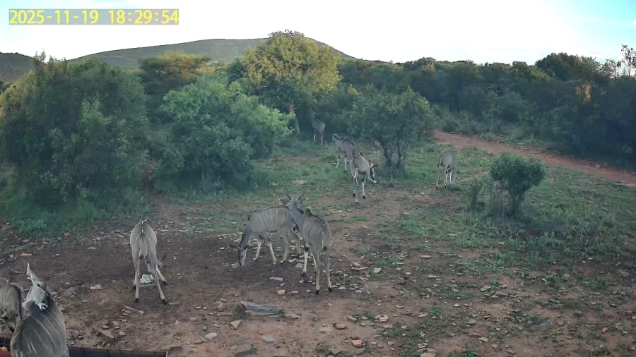 Commercial Property for Sale in Groot Marico Rural North West